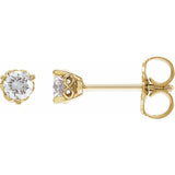 The Reed — Stud Earrings - Yellow