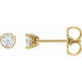 The Nacre — Stud Earrings - Yellow
