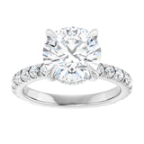 The Raya — Round Hidden Halo Engagement Ring - ViewC