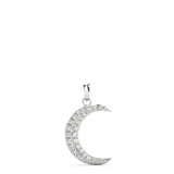 Half Moon Pendant - alt view