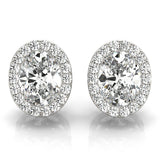 Earrings Halo