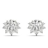 Fashion Earrings