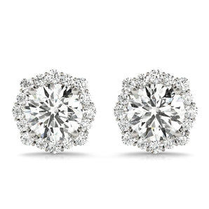 Fashion Earrings