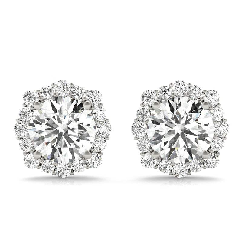 Fashion Earrings