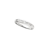 the-teal-anniversary-band stone-rendered