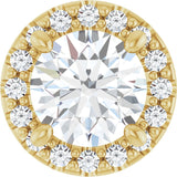 The Petra — Round Halo Pendant - Yellow
