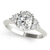 Color Rings Oval