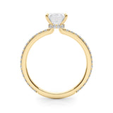 Hidden Halo Emerald Cut Center Single Row Engagement Ring (85294)