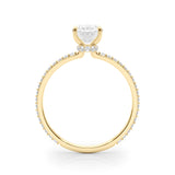 Hidden Halo Oval Center Single Row Engagement Ring (85297)