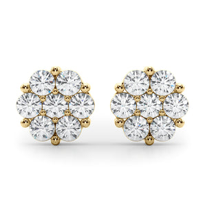 Earrings Cluster