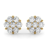 Earrings Cluster