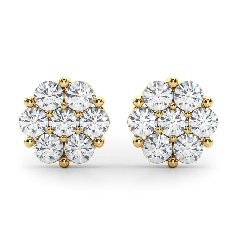 Earrings Cluster