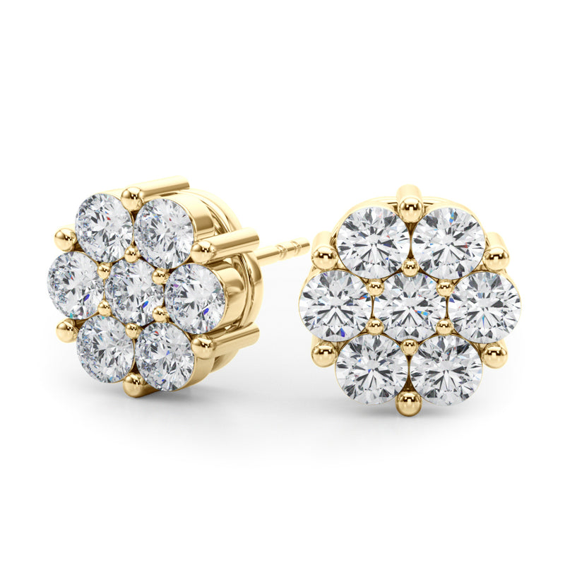 Earrings Cluster - alt view