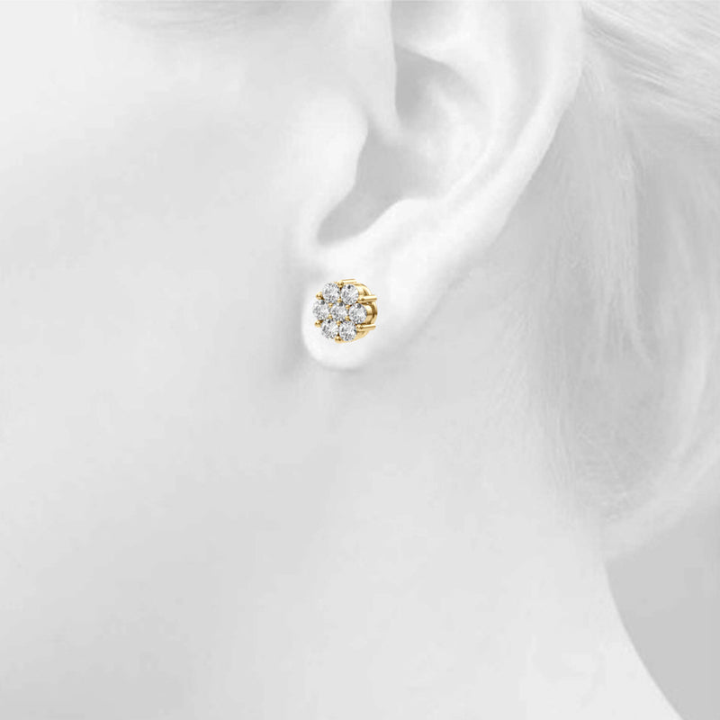 Earrings Cluster - alt view