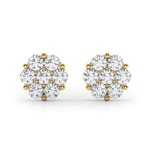 Earrings Cluster