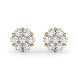 Earrings Cluster
