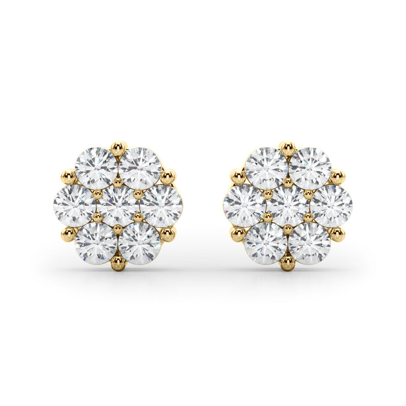 Earrings Cluster
