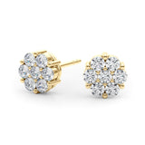 Earrings Cluster - alt view