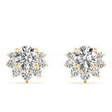 Fashion Earrings