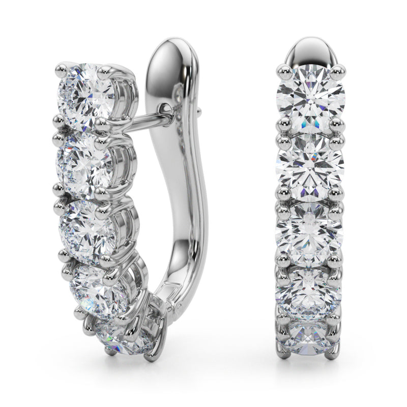Earrings Omega Backs - alt view