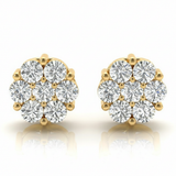 Earrings Cluster — 1/2 ctw — Yellow Gold