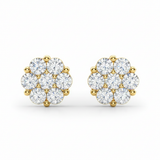 1/2 ctw Earrings Cluster — Yellow Gold