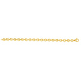 14K Gold Polished Oval Rolo Inspired Link Chain