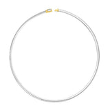 14K Gold 4mm Reversible Bi Metal Omega